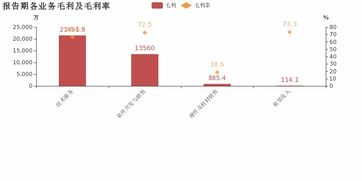 博思軟件歸母凈利潤增速56.1%創5年新高，技術服務業務成利潤增長核心引擎