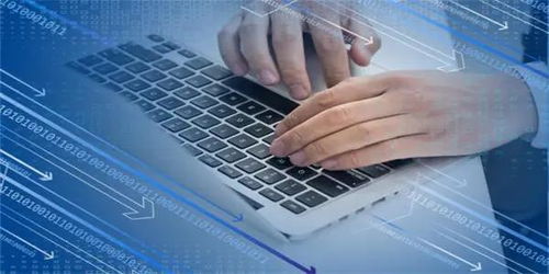 信息技術(shù)服務(wù)逆勢領(lǐng)漲，新IT持續(xù)引領(lǐng)數(shù)字化破局